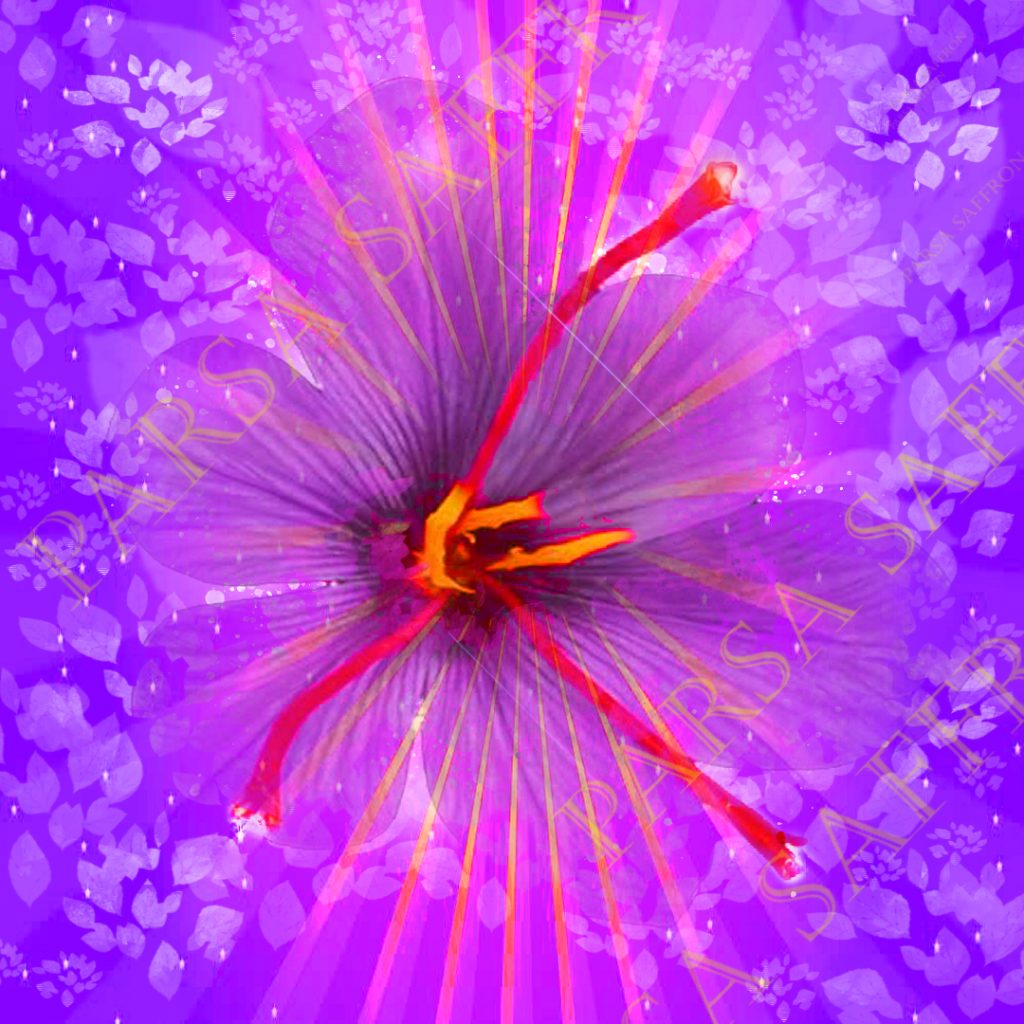 بهترین زعفران در جهان